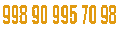 +8 (99891) 207-36-28